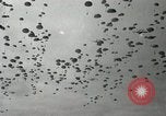 Image of Massive troop drop of 187th Regimental Combat Team Korea, 1951, second 6 stock footage video 65675022701