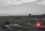 Image of Massive troop drop of 187th Regimental Combat Team Korea, 1951, second 42 stock footage video 65675022701