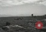 Image of Massive troop drop of 187th Regimental Combat Team Korea, 1951, second 44 stock footage video 65675022701