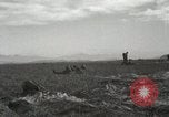 Image of Massive troop drop of 187th Regimental Combat Team Korea, 1951, second 45 stock footage video 65675022701