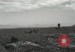 Image of Massive troop drop of 187th Regimental Combat Team Korea, 1951, second 46 stock footage video 65675022701