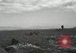 Image of Massive troop drop of 187th Regimental Combat Team Korea, 1951, second 48 stock footage video 65675022701