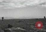 Image of Massive troop drop of 187th Regimental Combat Team Korea, 1951, second 55 stock footage video 65675022701