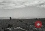 Image of Massive troop drop of 187th Regimental Combat Team Korea, 1951, second 58 stock footage video 65675022701