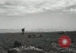 Image of Massive troop drop of 187th Regimental Combat Team Korea, 1951, second 59 stock footage video 65675022701