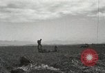 Image of Massive troop drop of 187th Regimental Combat Team Korea, 1951, second 60 stock footage video 65675022701