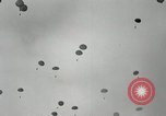 Image of 187th Regimental Combat Team parachutes onto field  Korea, 1951, second 21 stock footage video 65675022702