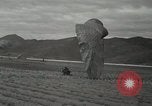 Image of 187th Regimental Combat Team parachutes onto field  Korea, 1951, second 51 stock footage video 65675022702