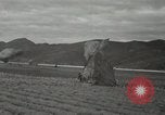 Image of 187th Regimental Combat Team parachutes onto field  Korea, 1951, second 52 stock footage video 65675022702