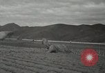 Image of 187th Regimental Combat Team parachutes onto field  Korea, 1951, second 53 stock footage video 65675022702