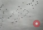 Image of Paratroopers of the 187th Regimental Combat Team  Korea, 1951, second 61 stock footage video 65675022704