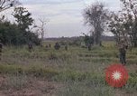 Standbild Army Airborne Operation in Vietnam Krieg Vietnam, 1965, aus Sekunde 24 historischem Filmmaterial Videoclip 65675022707