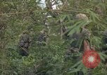 Standbild Army Airborne Operation in Vietnam Krieg Vietnam, 1965, aus Sekunde 41 historischem Filmmaterial Videoclip 65675022707