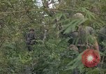 Standbild Army Airborne Operation in Vietnam Krieg Vietnam, 1965, aus Sekunde 42 historischem Filmmaterial Videoclip 65675022707