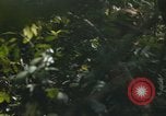 Standbild Army Airborne Operation in Vietnam Krieg Vietnam, 1965, aus Sekunde 50 historischem Filmmaterial Videoclip 65675022707