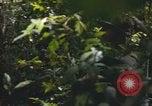 Standbild Army Airborne Operation in Vietnam Krieg Vietnam, 1965, aus Sekunde 51 historischem Filmmaterial Videoclip 65675022707