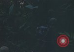 Standbild Army Airborne Operation in Vietnam Krieg Vietnam, 1965, aus Sekunde 54 historischem Filmmaterial Videoclip 65675022707