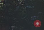 Standbild Army Airborne Operation in Vietnam Krieg Vietnam, 1965, aus Sekunde 55 historischem Filmmaterial Videoclip 65675022707
