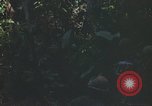Standbild Army Airborne Operation in Vietnam Krieg Vietnam, 1965, aus Sekunde 56 historischem Filmmaterial Videoclip 65675022707
