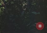 Standbild Army Airborne Operation in Vietnam Krieg Vietnam, 1965, aus Sekunde 57 historischem Filmmaterial Videoclip 65675022707