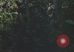 Standbild Army Airborne Operation in Vietnam Krieg Vietnam, 1965, aus Sekunde 58 historischem Filmmaterial Videoclip 65675022707