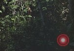 Standbild Army Airborne Operation in Vietnam Krieg Vietnam, 1965, aus Sekunde 59 historischem Filmmaterial Videoclip 65675022707