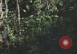 Standbild Army Airborne Operation in Vietnam Krieg Vietnam, 1965, aus Sekunde 60 historischem Filmmaterial Videoclip 65675022707