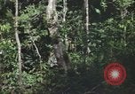 Standbild Army Airborne Operation in Vietnam Krieg Vietnam, 1965, aus Sekunde 61 historischem Filmmaterial Videoclip 65675022707