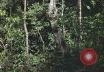 Standbild Army Airborne Operation in Vietnam Krieg Vietnam, 1965, aus Sekunde 62 historischem Filmmaterial Videoclip 65675022707