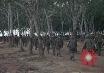 Image of 2nd Battalion of 173rd Airborne Brigade Combat Team Vietnam Bien Hoa Air Base, 1965, second 8 stock footage video 65675022708