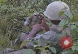 Image of 2nd Battalion of 173rd Airborne Brigade Combat Team Vietnam, 1965, second 48 stock footage video 65675022709
