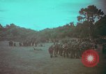 Image of 1st Battalion of 173rd Airborne Brigade Combat Team Vietnam, 1965, second 6 stock footage video 65675022710