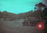 Image of 1st Battalion of 173rd Airborne Brigade Combat Team Vietnam, 1965, second 9 stock footage video 65675022710