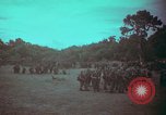 Image of 1st Battalion of 173rd Airborne Brigade Combat Team Vietnam, 1965, second 10 stock footage video 65675022710
