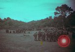 Image of 1st Battalion of 173rd Airborne Brigade Combat Team Vietnam, 1965, second 13 stock footage video 65675022710