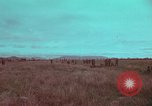 Image of 1st Battalion of 173rd Airborne Brigade Combat Team Vietnam, 1965, second 42 stock footage video 65675022711