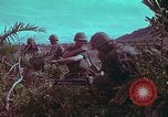 Image of 1st Battalion of 173rd Airborne Brigade Vietnam, 1965, second 16 stock footage video 65675022713