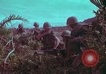 Image of 1st Battalion of 173rd Airborne Brigade Vietnam, 1965, second 17 stock footage video 65675022713