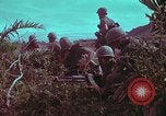 Image of 1st Battalion of 173rd Airborne Brigade Vietnam, 1965, second 19 stock footage video 65675022713