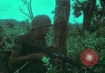 Image of 1st Battalion of 173rd Airborne Brigade Vietnam, 1965, second 29 stock footage video 65675022713