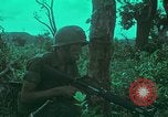 Image of 1st Battalion of 173rd Airborne Brigade Vietnam, 1965, second 30 stock footage video 65675022713