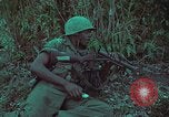 Image of 1st Battalion of 173rd Airborne Brigade Vietnam, 1965, second 35 stock footage video 65675022713