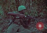 Image of 1st Battalion of 173rd Airborne Brigade Vietnam, 1965, second 36 stock footage video 65675022713