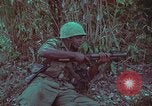 Image of 1st Battalion of 173rd Airborne Brigade Vietnam, 1965, second 39 stock footage video 65675022713