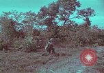 Image of 1st Battalion of 173rd Airborne Brigade Vietnam, 1965, second 42 stock footage video 65675022713