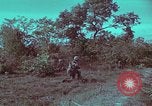 Image of 1st Battalion of 173rd Airborne Brigade Vietnam, 1965, second 43 stock footage video 65675022713
