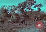 Image of 1st Battalion of 173rd Airborne Brigade Vietnam, 1965, second 44 stock footage video 65675022713