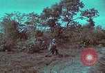 Image of 1st Battalion of 173rd Airborne Brigade Vietnam, 1965, second 45 stock footage video 65675022713