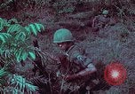 Image of 1st Battalion of 173rd Airborne Brigade Vietnam, 1965, second 50 stock footage video 65675022713