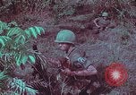 Image of 1st Battalion of 173rd Airborne Brigade Vietnam, 1965, second 51 stock footage video 65675022713